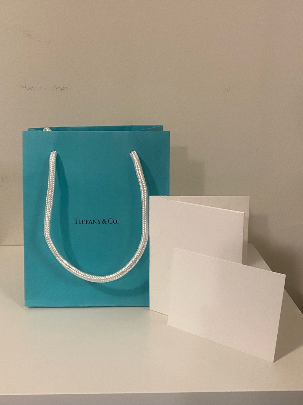 Tiffany & Co. Robin's Egg Blue Mini Gift Bag with White Rope Handles